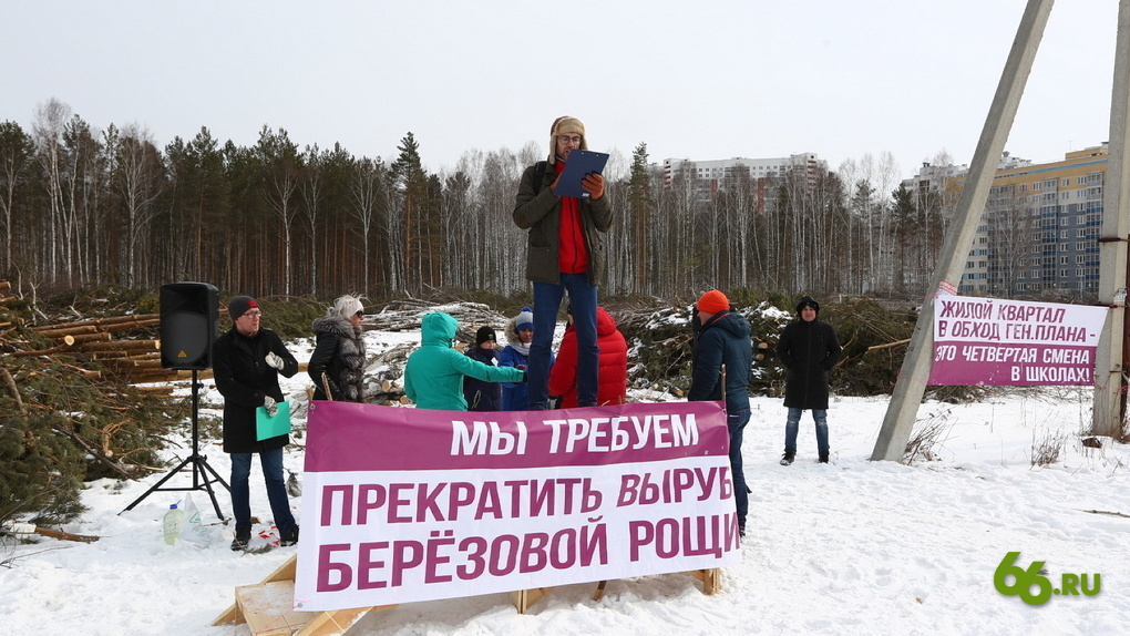 Продолжается борьба жителей и активистов за сохранение берёзовой рощи в Академическом микрорайоне Екатеринбурга - фото 4
