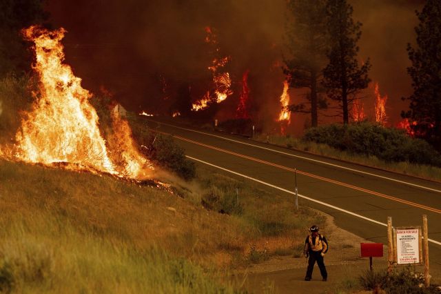 В Калифорнии - лесные пожары... - фото 9