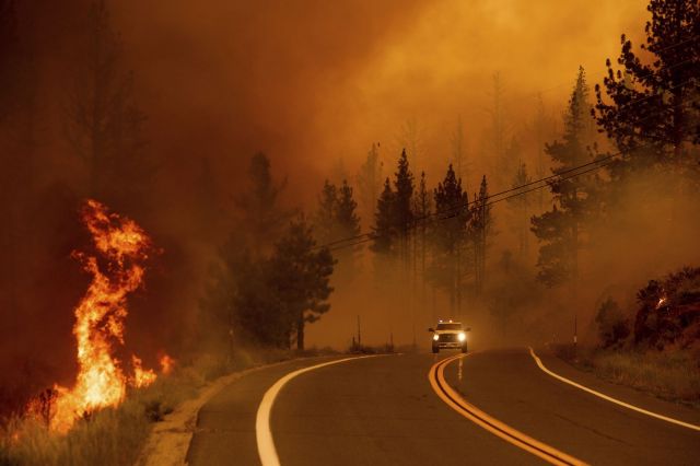 В Калифорнии - лесные пожары... - фото 10