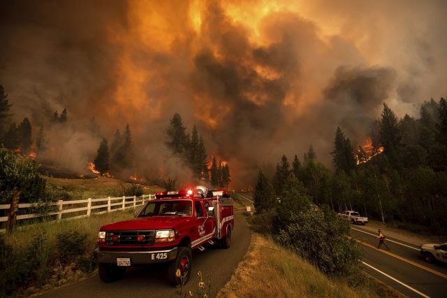 В Калифорнии - лесные пожары... - фото 12