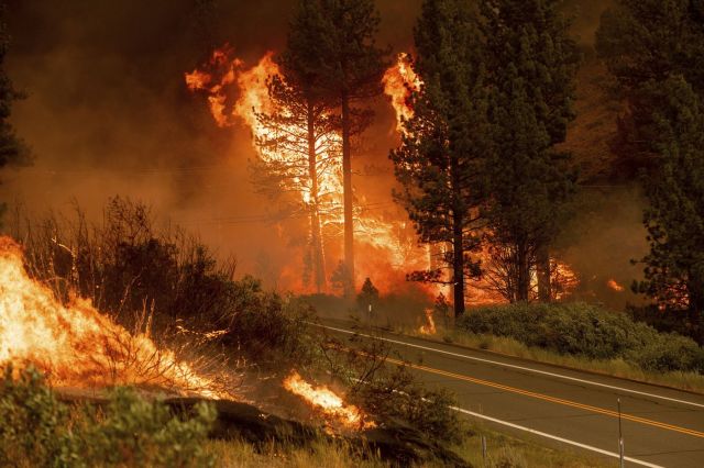 В Калифорнии - лесные пожары... - фото 1