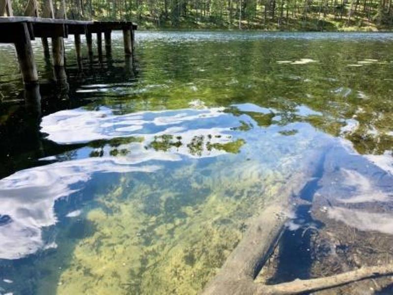 32Исследования водоемов водотоков и ихтиофауны станут главной темой семинара-экспедиции 1