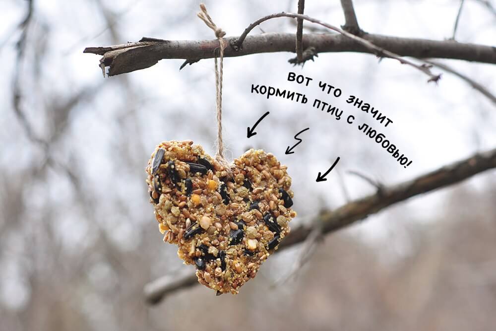 Покормите птиц! - фото 1