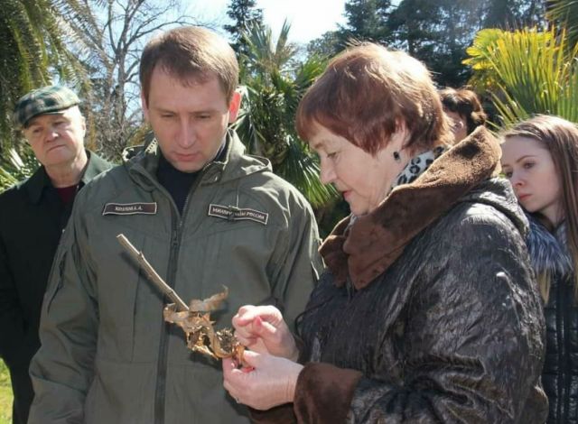 Глава МПР Александр Козлов был замечен в Сочи при посадке деревьев - фото 1