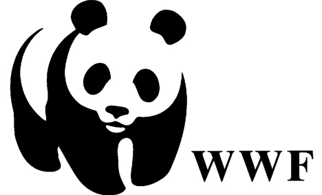 WWF: МОК должен ответить  за экологические последствия Олимпиады в Сочи - фото 1