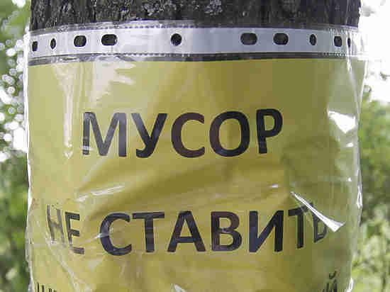 Если Госдума примет закон, разработанный подмосковными депутатами, то величина штрафов за мусор увеличится в 50 раз - фото 1