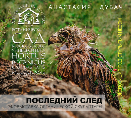 Экскурсия в Ботаническом Саду МГУ - фото 1