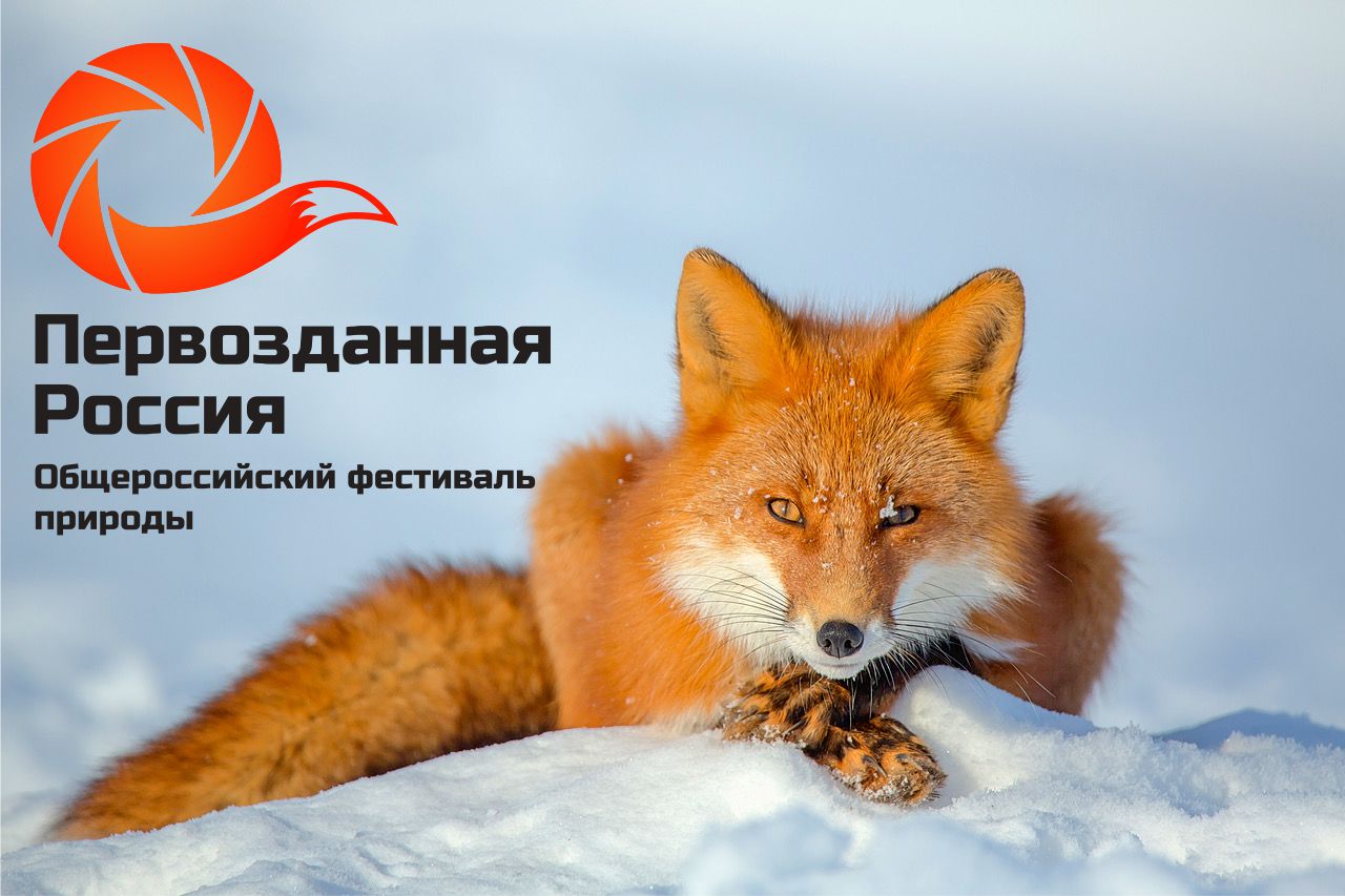 Общероссийский Фестиваль природы «Первозданная «Россия» в 2021 году возвращается на Крымский Вал в Москве - фото 1