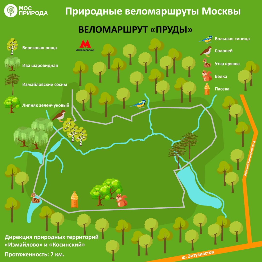 Парк березовая роща карта