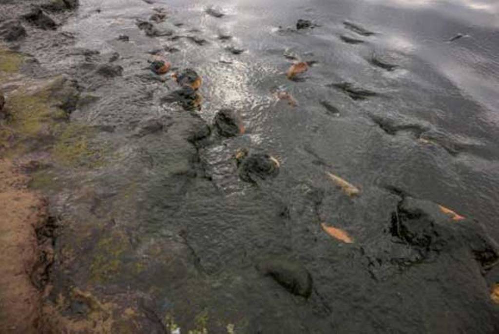 Загрязнение воды байкала. Загрязненное озеро Байкал. Река Селенга загрязнение Байкала. Река Байкал грязная. Озеро Байкал экологическая катастрофа.