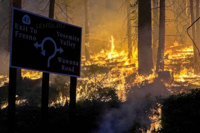 Лесные пожары в Калифорнии. Тушить нечем и некому ... - фото 1