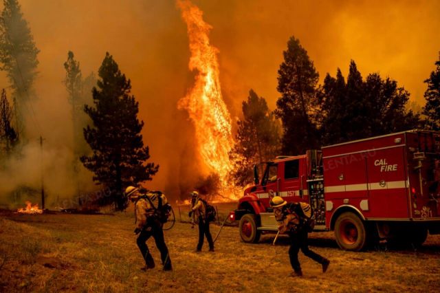 Лесной пожар в Калифорнии усугубляет процесс глобального потепления - фото 5