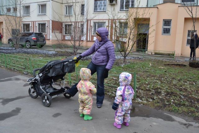 Старт акции «Миллион деревьев» в 2017 году не стали откладывать из-за похолодания - фото 21