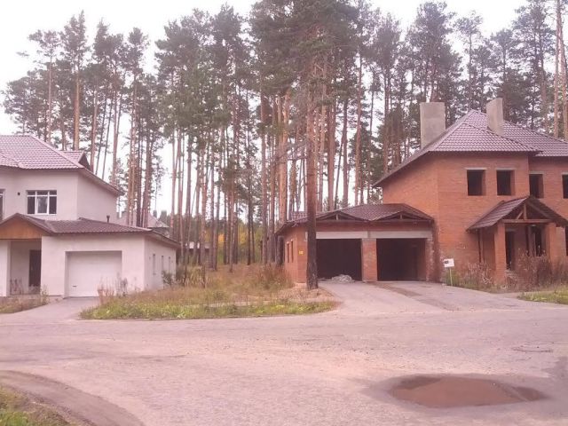 Экологи Сибири бьют в набат. Уничтожается ценный лес  - фото 11
