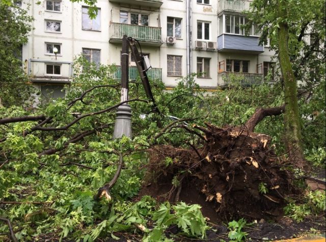 Москве необходимо формировать безопасные общественные пространства, это будет лучшей защитой от стихии - фото 7