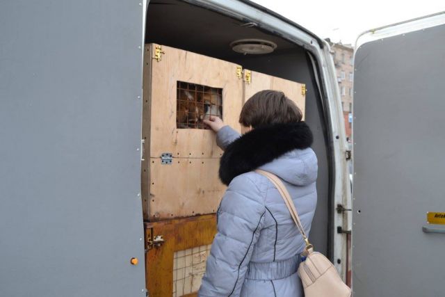 Презентация старта "Онежского Поморья" в Петрозаводске. Улыбаемся и машем...  - фото 66