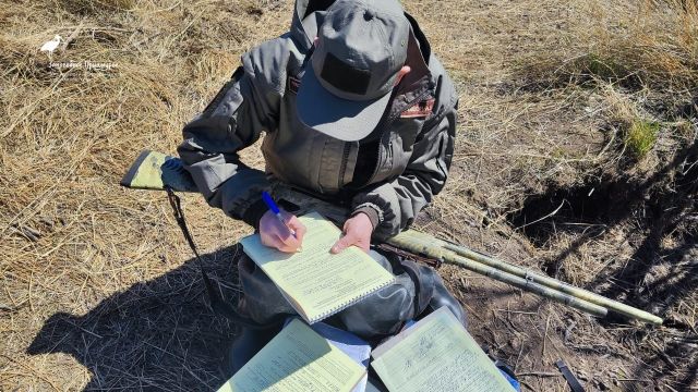 Всемирный день защиты животных: заповедные территории на страже благополучия животного мира страны - фото 2