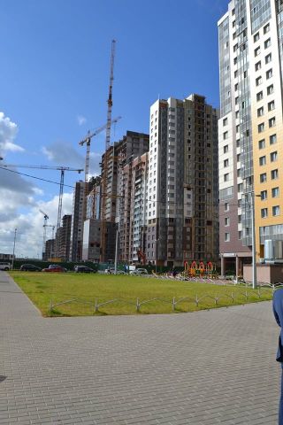 Зеленое строительство в СПб. Игорь Албин: пока на троечку  - фото 25