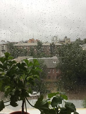 16 августа. Сводку о пожарах на Байкале корректирует дождь - фото 2