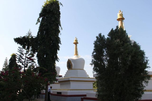 Далай Лама пообещал корреспонденту «ЭкоГрада» помолиться за Байкал - фото 37