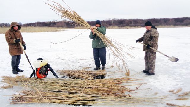 В Волгоградской области экологи спасают рыбу от замора - фото 2