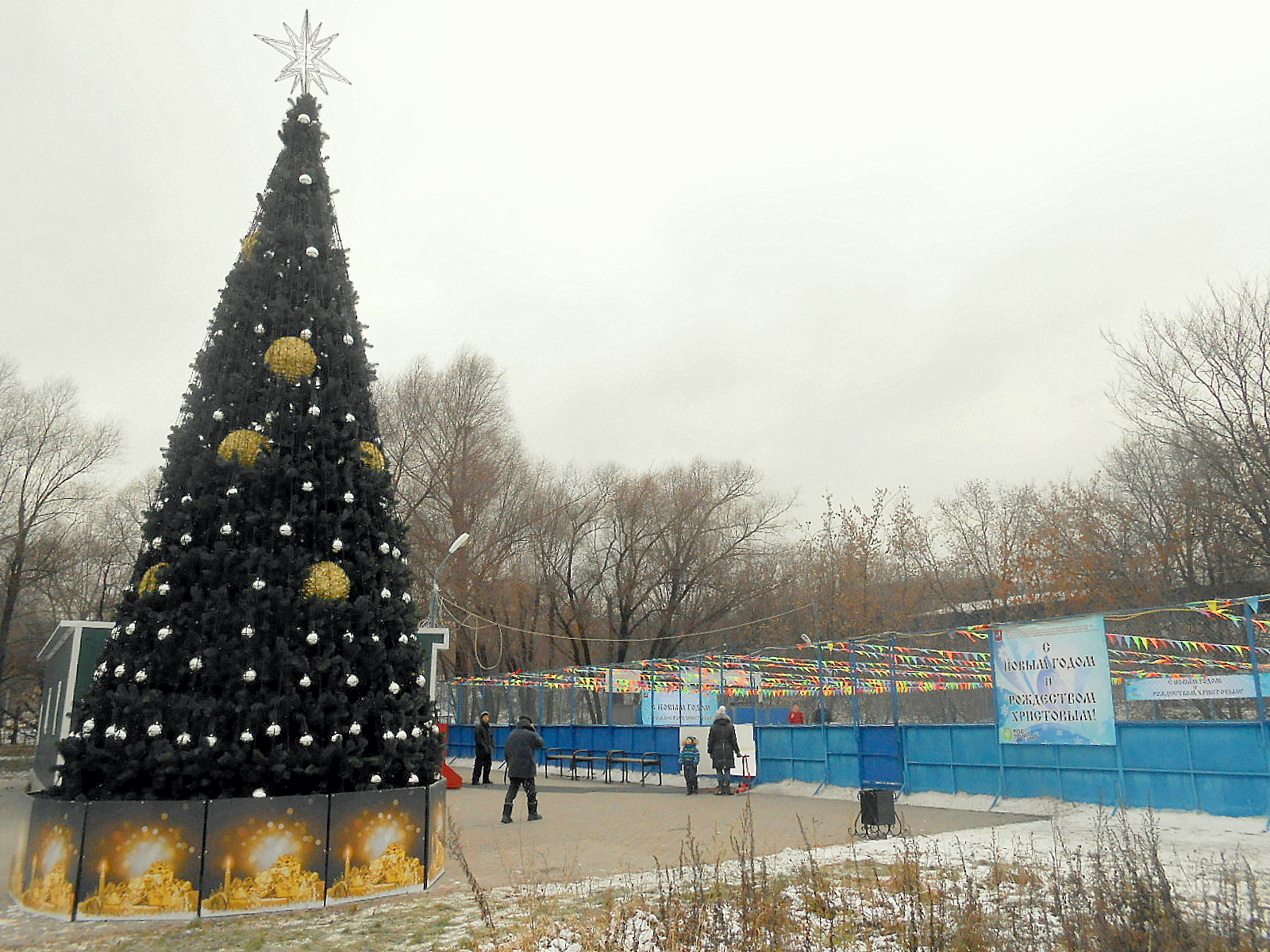 Каток елочки. Парк елочки каток. Каток в парке елочки. Елка в парке. Московский парк ёлочки.