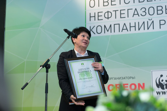   Экологическая конкуренция нефтегазовых компаний - фото 11