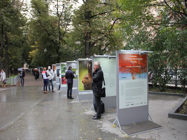 В Москве на Патриарших прудах открылась выставка леса - фото 2