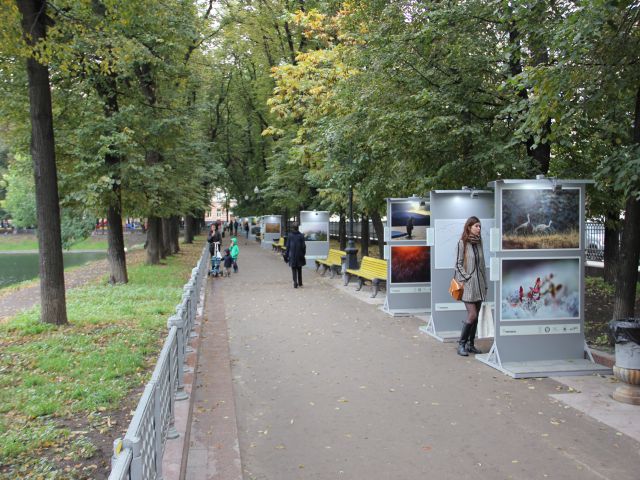 В Москве на Патриарших прудах открылась выставка леса - фото 5