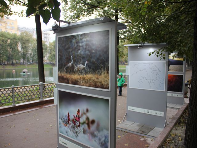 В Москве на Патриарших прудах открылась выставка леса - фото 6
