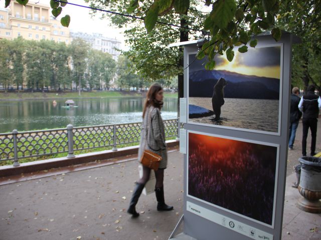 В Москве на Патриарших прудах открылась выставка леса - фото 7