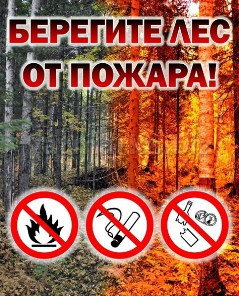 Управление лесного хозяйства Воронежской области напоминает гражданам о штрафах за нарушение пожарной безопасности - фото 1