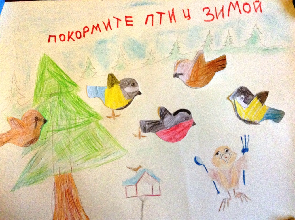  Подведение итогов конкурса агитационных плакатов «Покормите птиц зимой» - фото 4