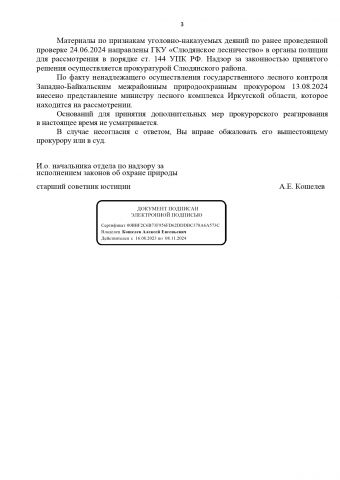 Из числа лоббистов непопулярного закона в число уголовников?... - фото 4