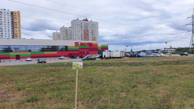  Как идет эксперимент по созданию луговых газонов в Нижнем Новгороде - фото 3