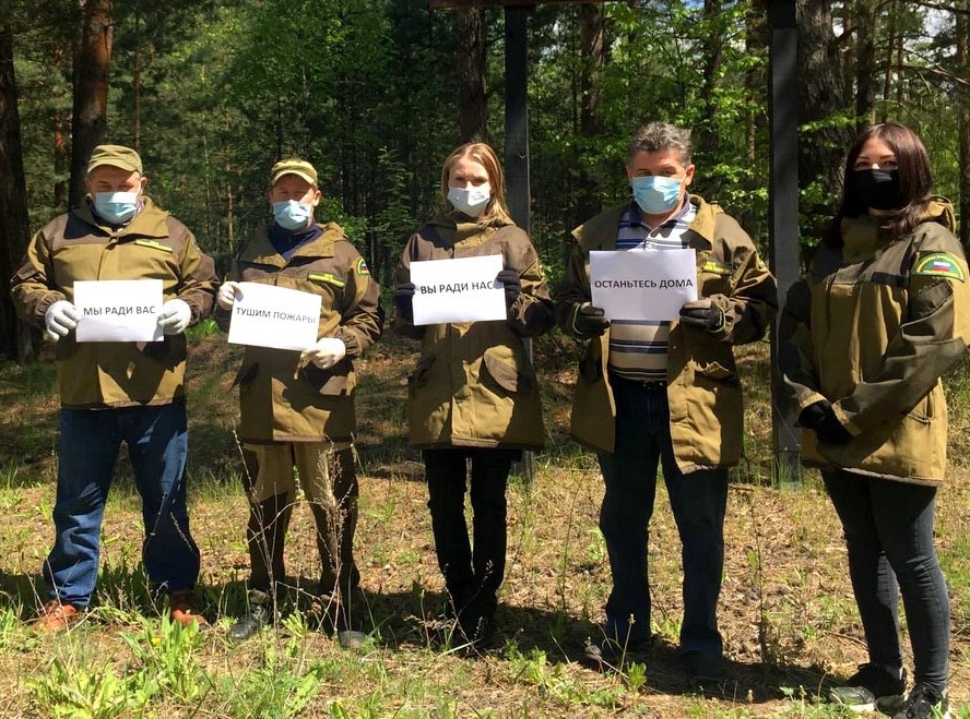 В Рязанской области проводится комплекс мероприятий, направленных на предотвращение пожароопасной ситуации в лесах регион - фото 1