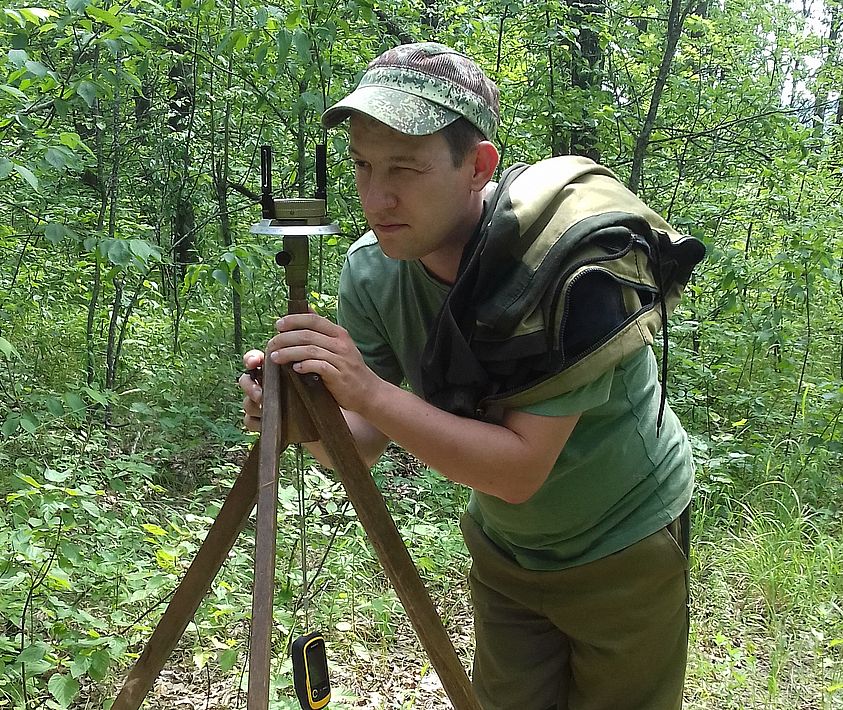 Лесопатологи проверили состояние белгородских лесов - фото 1