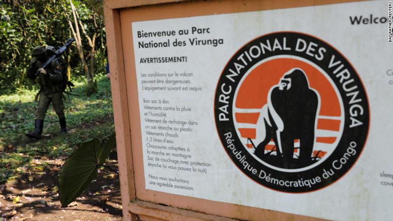 Охота на рейнджеров в Национальном парке Вирунга на востоке Демократической Республики Конго - фото 1