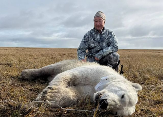 2222фото Глава Якутии Айсен Николаев и белый медведь