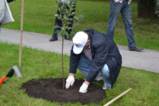 Главный эколог столицы посадил свое тысячное дерево в Москве  - фото 82