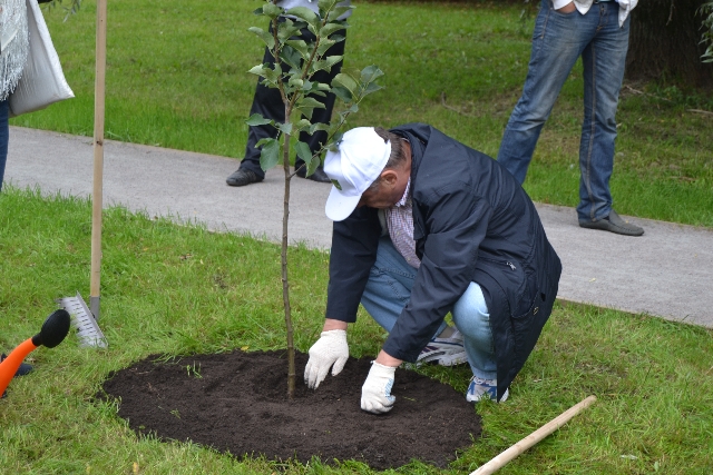 Главный эколог столицы посадил свое тысячное дерево в Москве  - фото 83