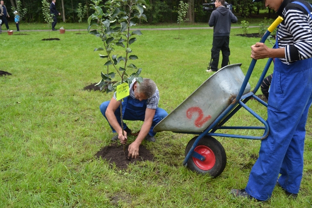 Главный эколог столицы посадил свое тысячное дерево в Москве  - фото 115
