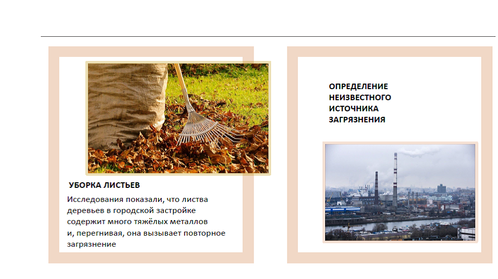 Букет химических элементов Московской экосистемы - фото 25