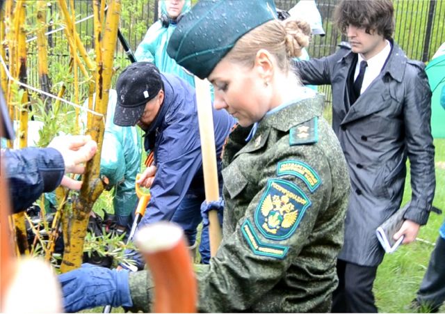 В национальном парке «Лосиный остров» заложили «Аллею Победы»  - фото 13