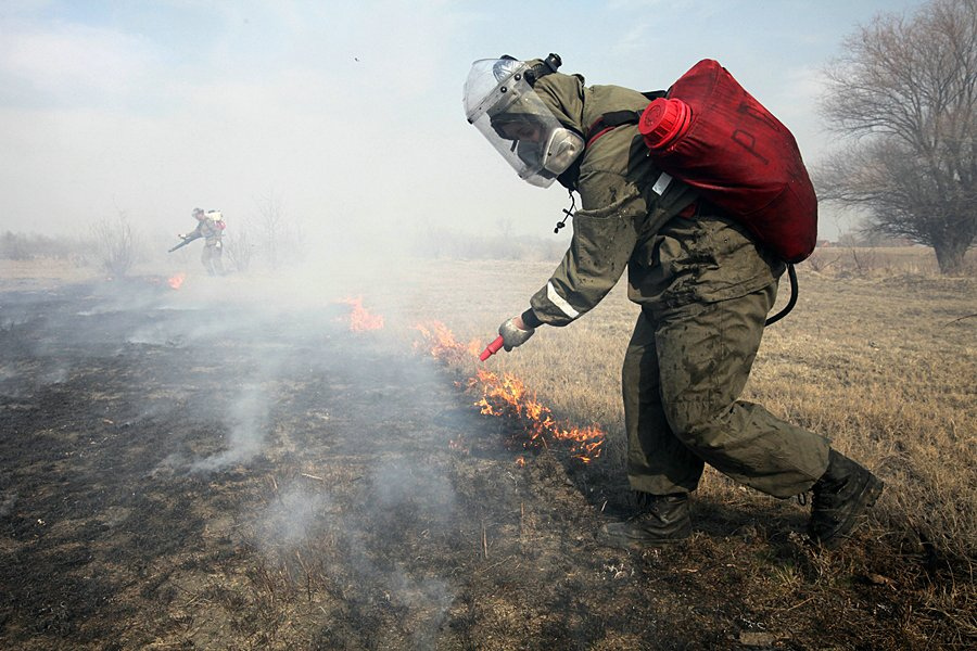 В лесничествах Курской области специалисты проводят контролируемые противопожарные выжигания сухой растительности - фото 1