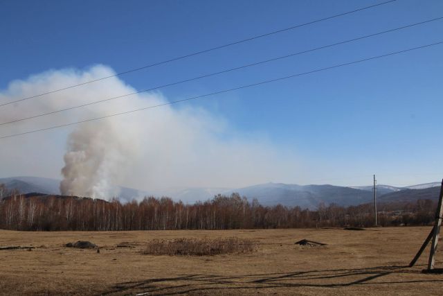 В Забайкалье стартовал сезон лесных пожаров 2016 - фото 4