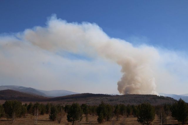 В Забайкалье стартовал сезон лесных пожаров 2016 - фото 5