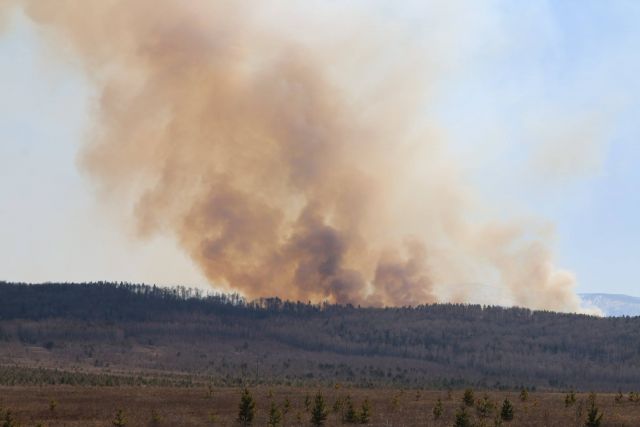 В Забайкалье стартовал сезон лесных пожаров 2016 - фото 7