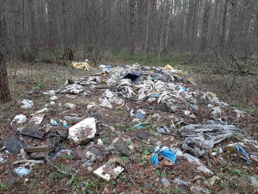 В Ярославской области ликвидировано 20 кубометров мусора с несанкционированной свалки на территории лесного фонда - фото 1