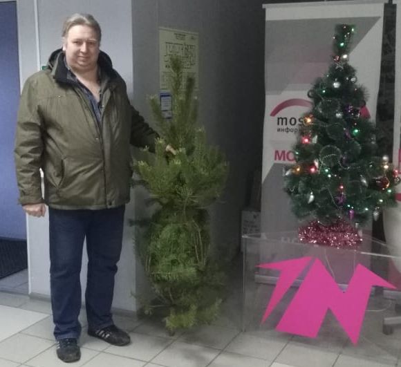 На информационном портале МОСТ Липецкой области проводится розыгрыш новогодних деревьев - фото 1